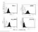 Fig. 07 - Composition for treatment of joint disease and method thereof