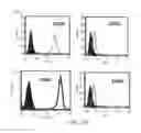 Fig. 08 - Composition for treatment of joint disease and method thereof
