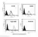Fig. 09 - Composition for treatment of joint disease and method thereof
