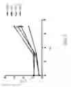 Fig. 10 - Composition for treatment of joint disease and method thereof