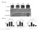 Fig. 14 - Composition for treatment of joint disease and method thereof
