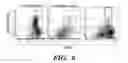 Fig. 09 - MULTIPOTENT NEURAL CELLS