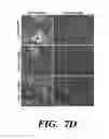 Fig. 13 - MULTIPOTENT NEURAL CELLS