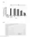 Fig. 03 - COMPOSITION FOR PREVENTING AND TREATING INFLAMMATORY DISEASE, CONTAINING OIL OF LITSEA JAPONICA AS ACTIVE INGREDIENT, AND METHOD FOR PREPARING SAME