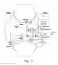 Fig. 02 - Sour cherry topical biotherapeutic formulations, method of manufacture and method of treatment of human osteoarthritis symptoms