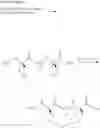 Fig. 12 - Bis-sulfhydryl macrocyclization systems