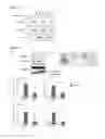 Fig. 11 - Compositions and Methods for Induced Brown Fat Differentiation
