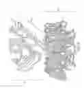 Fig. 06 - Epidermal growth factor fusion proteins with mutant cholera toxin B subunits