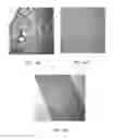 Fig. 11 - Controlled release vaccines and methods of treating diseases and disorders