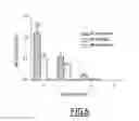 Fig. 07 - Induction of cross-reactive cellular response against rhinovirus antigens