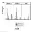 Fig. 29 - Induction of cross-reactive cellular response against rhinovirus antigens
