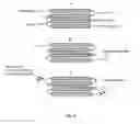 Fig. 03 - Dps fusion proteins for use in vaccines and diagnostics