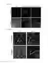 Fig. 05 - THERAPEUTIC AGENT FOR NEUROLOGICAL DISORDER