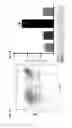 Fig. 02 - Compositions and methods for treating inflammatory bowel disease using a combination therapy of small molecule inhibitors of C-C chemokine receptor 9 (CCR9) and anti-α4β7 integrin blocking antibodies