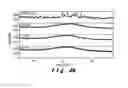 Fig. 08 - ORAL COMPOSITION COMPRISNG (+)-CATECHIN