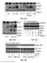 Fig. 11 - PROMOTION OF WOUND HEALING