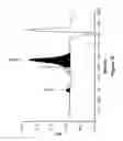 Fig. 12 - Derivatisation of granulocyte colony-stimulating factor