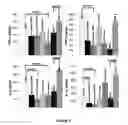 Fig. 07 - CONJUGATES COMPRISING MANNAN AND MYELIN BASIC PROTEIN (MBP)