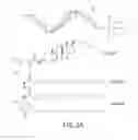 Fig. 06 - Immunostimulatory compositions and methods of use thereof