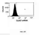 Fig. 03 - Interfering RNA delivery system and uses thereof