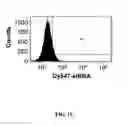 Fig. 04 - Interfering RNA delivery system and uses thereof