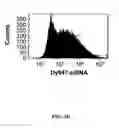 Fig. 05 - Interfering RNA delivery system and uses thereof
