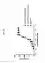 Fig. 08 - Conjugates comprising cell-binding agents and cytotoxic agents