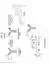 Fig. 24 - Conjugates comprising cell-binding agents and cytotoxic agents