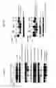 Fig. 14 - NEOADJUVANT USE OF ANTIBODY-DRUG CONJUGATES
