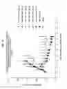 Fig. 22 - NEOADJUVANT USE OF ANTIBODY-DRUG CONJUGATES