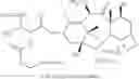 Fig. 30 - Enhanced loading of intact, bacterially derived vesicles with small molecule compounds