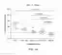 Fig. 09 - Carrier-antibody compositions and methods of making and using the same