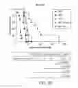 Fig. 10 - Carrier-antibody compositions and methods of making and using the same