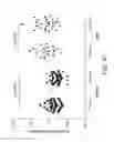 Fig. 11 - Carrier-antibody compositions and methods of making and using the same