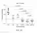 Fig. 12 - Carrier-antibody compositions and methods of making and using the same
