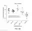 Fig. 25 - Carrier-antibody compositions and methods of making and using the same
