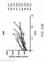 Fig. 40 - Carrier-antibody compositions and methods of making and using the same
