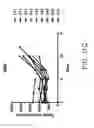 Fig. 41 - Carrier-antibody compositions and methods of making and using the same