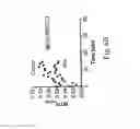 Fig. 11 - Use of non-labeled sugars and detection by MRI for assessing tissue perfusion and metabolism