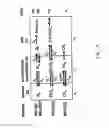 Fig. 13 - Use of non-labeled sugars and detection by MRI for assessing tissue perfusion and metabolism