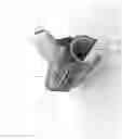 Fig. 01 - Sanitizing device for tool and cart handles