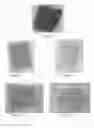 Fig. 02 - Method for preparing biological tissues for use in biological prostheses