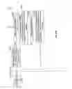 Fig. 48 - MANAGEMENT OF DIALYSIS AND INFUSION DATA METHODS AND APPARATUS
