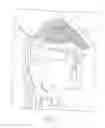 Fig. 02 - NASAL DELIVERY DEVICE