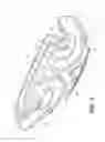 Fig. 02 - NASAL INTERFACE