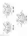 Fig. 14 - NASAL INTERFACE