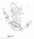 Fig. 16 - NASAL INTERFACE