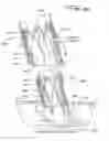 Fig. 60 - Implantable flow connector