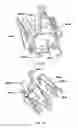 Fig. 82 - Implantable flow connector
