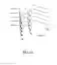 Fig. 24 - Electronic stimulation system and device thereof for dorsal root ganglion